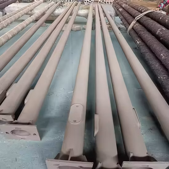Utilisé en usine en acier inoxydable extérieur LED bras double galvanisé bras simple 6m 8m 10m 12m bras double et simple prix acier galvanisé lampadaire solaire pôle Lam